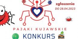 LGD Czarnoziem na Soli - Zapraszamy do udziału w Konkursie „Najpiękniejszy Kujawski Pająk”