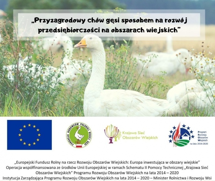 LGD Czarnoziem na Soli -  Przyzagrodowy chów gęsi sposobem na rozwój przedsiębiorczości na obszarach wiejskich - szkolenie