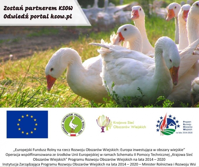 LGD Czarnoziem na Soli - Kolejne szkolenia Fundacji Hodowców Polskiej Białej Gęsi!