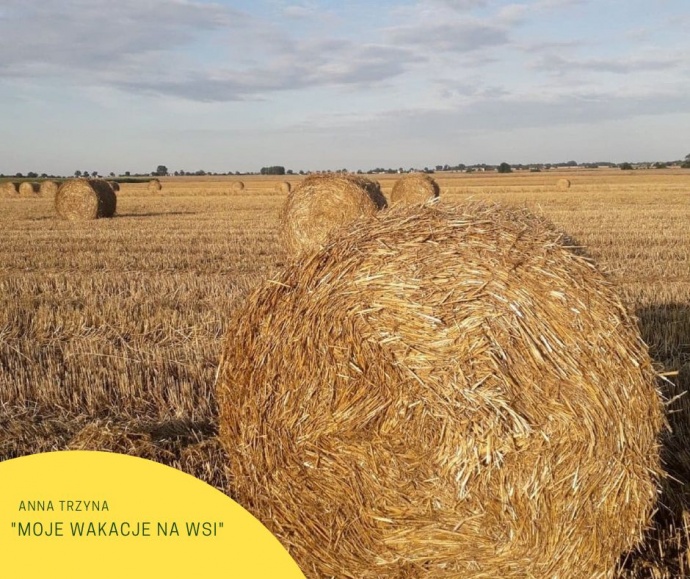 LGD Czarnoziem na Soli - Wyniki konkursu fotograficznego "WAKACJE NA KUJAWACH"